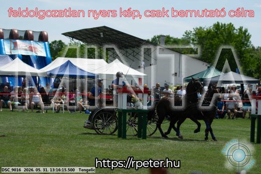 Mintakép 20260531-3120