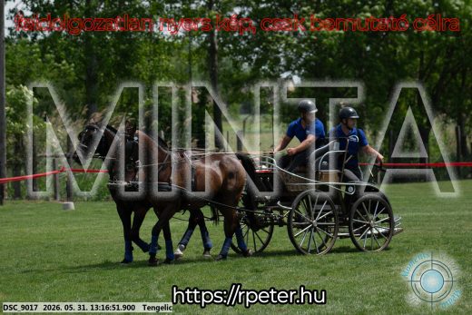 Mintakép 20260531-3121