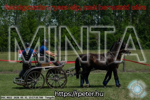 Mintakép 20260531-3122
