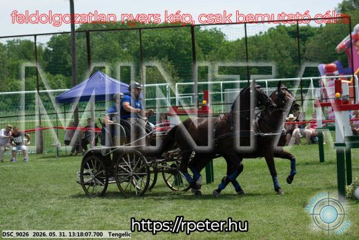 Mintakép 20260531-3124