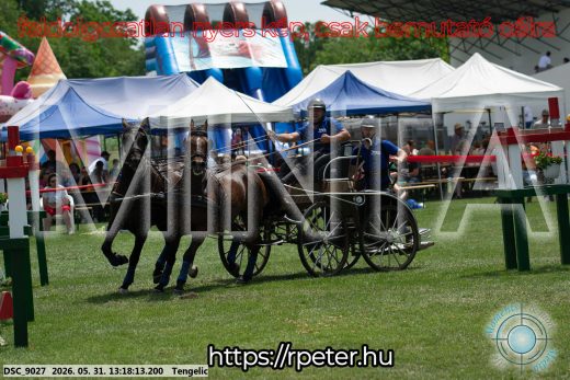 Mintakép 20260531-3125