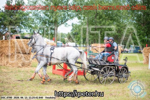 Mintakép 20260613-368