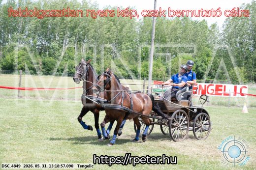 Mintakép 20260531-3131