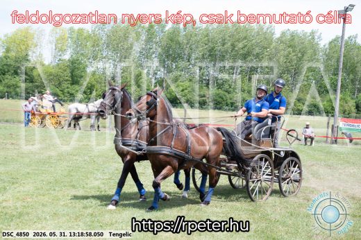 Mintakép 20260531-3132