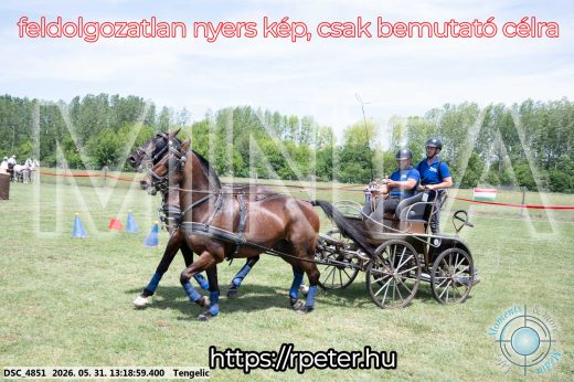 Mintakép 20260531-3133