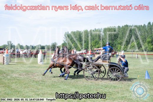 Mintakép 20260531-3135