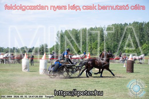 Mintakép 20260531-3137