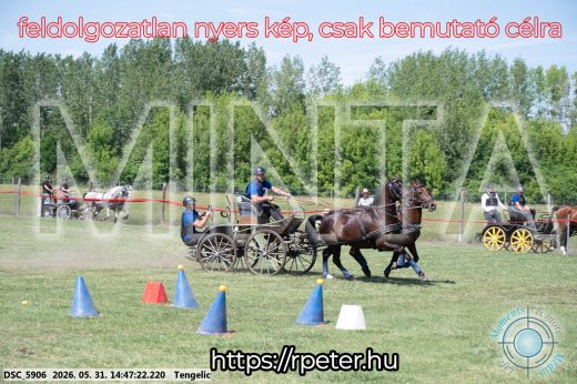 Mintakép 20260531-3139