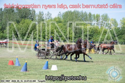 Mintakép 20260531-3140