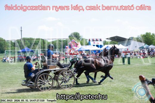Mintakép 20260531-3146