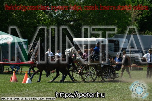 Mintakép 20260531-3147