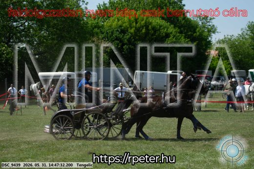 Mintakép 20260531-3150