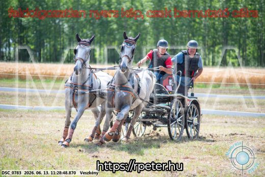 Mintakép 20260613-370