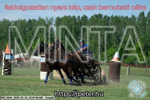 Mintakép 20260531-3151