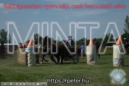 Mintakép 20260531-3153