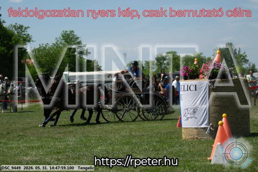 Mintakép 20260531-3154
