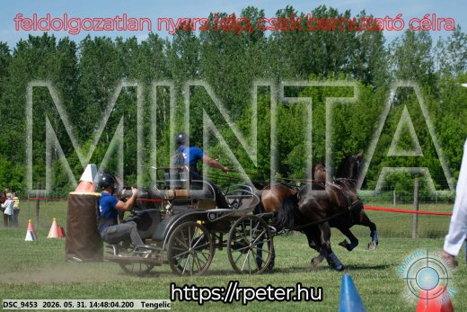 Mintakép 20260531-3156