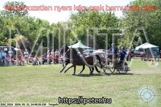 Mintakép 20260531-3157