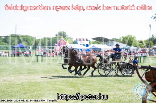 Mintakép 20260531-3159