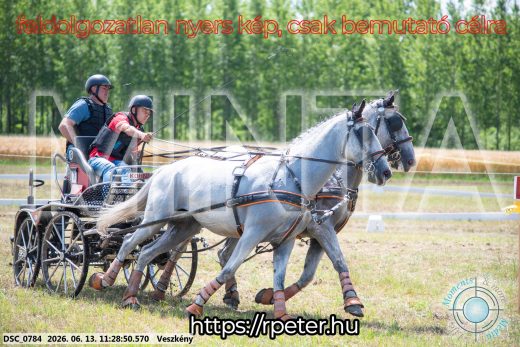 Mintakép 20260613-371