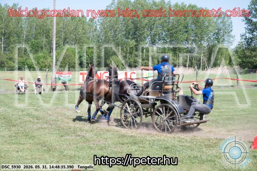 Mintakép 20260531-3161