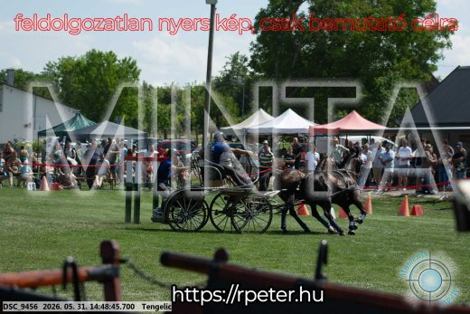 Mintakép 20260531-3162