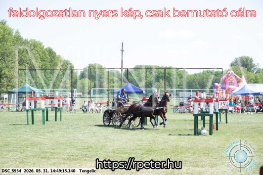 Mintakép 20260531-3163