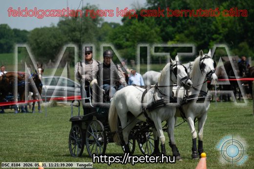 20260531-112139-DSC_8104.jpg
