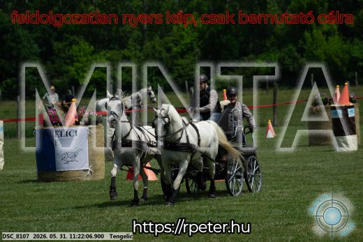 Mintakép 20260531-3169