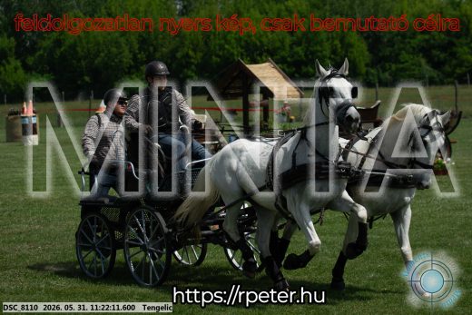 Mintakép 20260531-3172