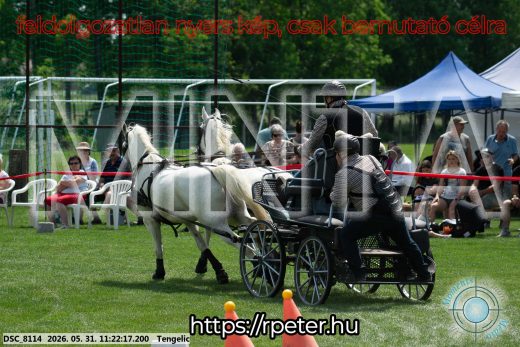 Mintakép 20260531-3176