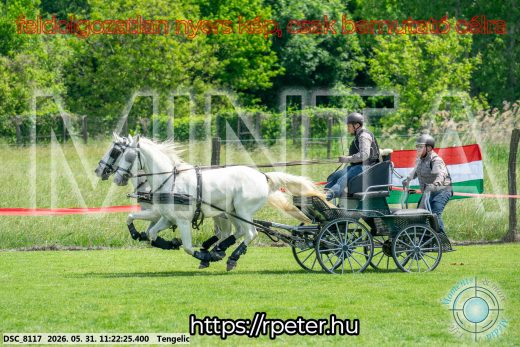 Mintakép 20260531-3178