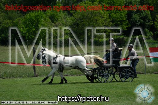 Mintakép 20260531-3179