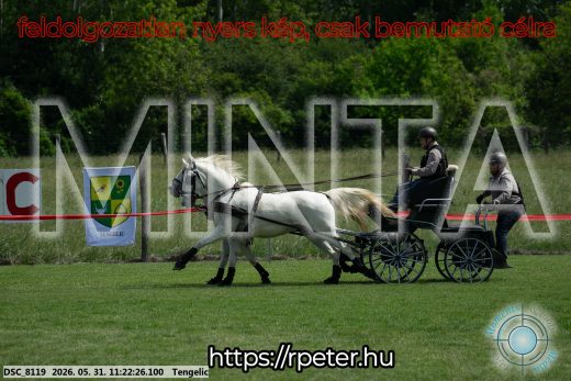 Mintakép 20260531-3180