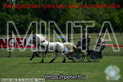 Mintakép 20260531-3181