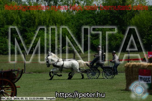 Mintakép 20260531-3182