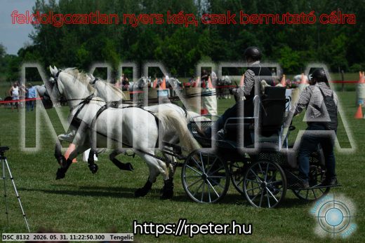 Mintakép 20260531-3188