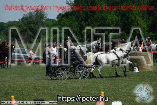Mintakép 20260531-3189