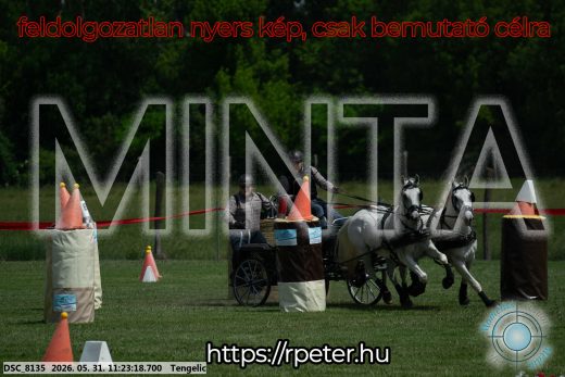 Mintakép 20260531-3190