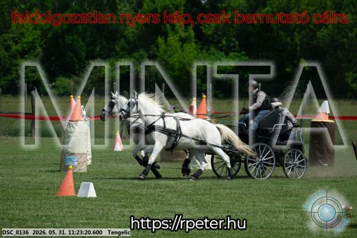 Mintakép 20260531-3191