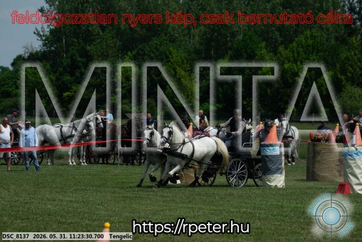 Mintakép 20260531-3192