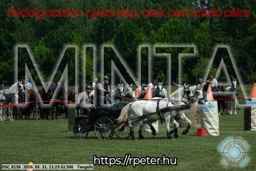 Mintakép 20260531-3193