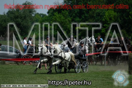 Mintakép 20260531-3194