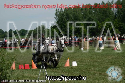 Mintakép 20260531-3195