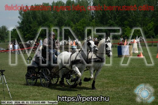 Mintakép 20260531-3196