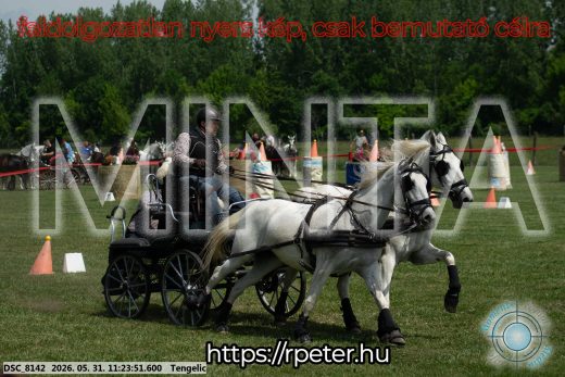 Mintakép 20260531-3197