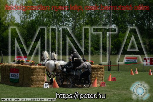 Mintakép 20260531-3202