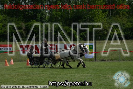 Mintakép 20260531-3203