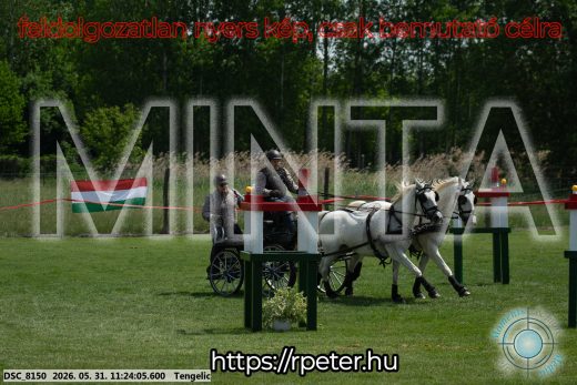 Mintakép 20260531-3205