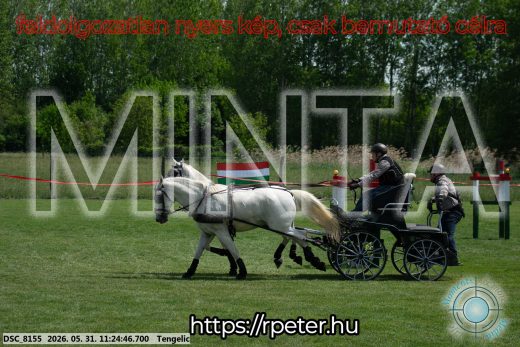 Mintakép 20260531-3208